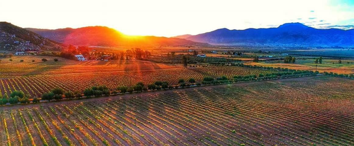 Villa Corsua Valle de Guadalupe Kültér fotó