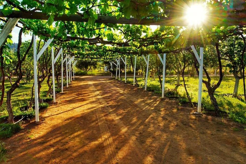 Villa Corsua Valle de Guadalupe Kültér fotó